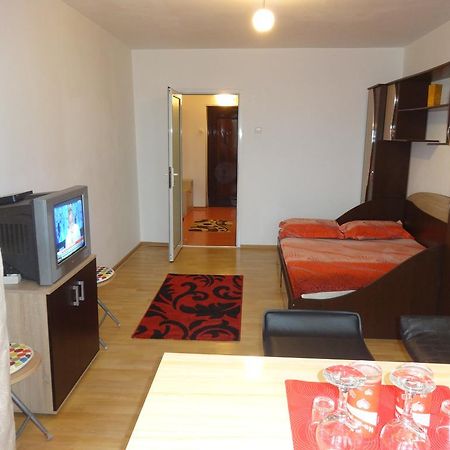 Alina Accommodation Galaţi エクステリア 写真