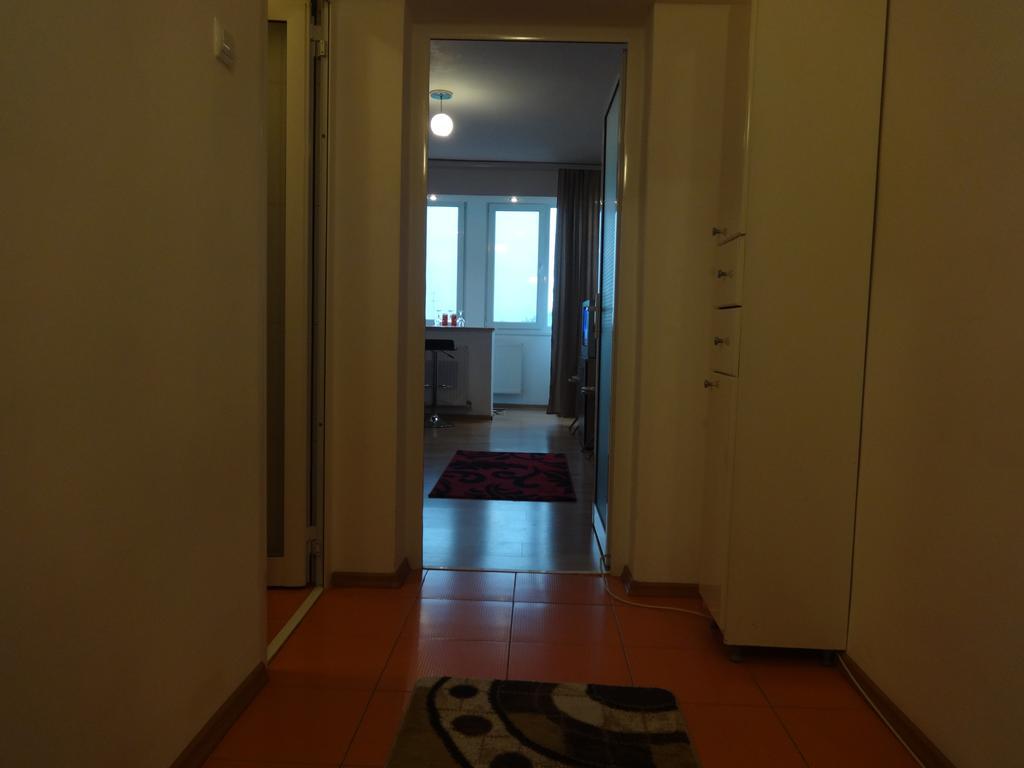Alina Accommodation Galaţi エクステリア 写真