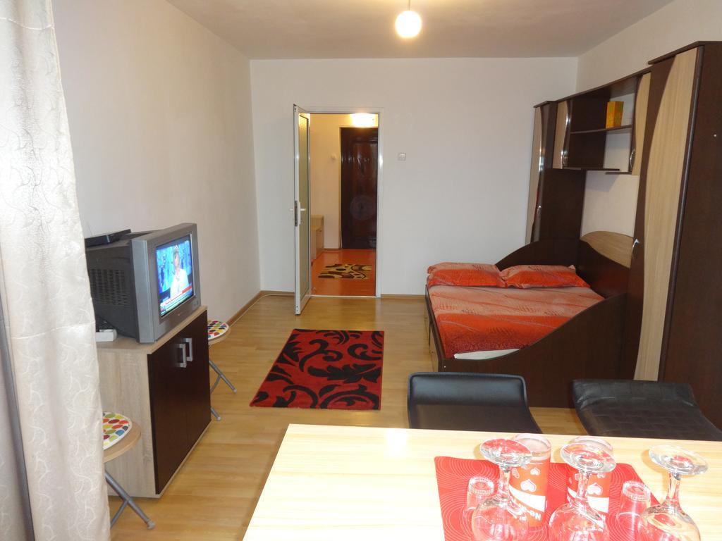 Alina Accommodation Galaţi エクステリア 写真