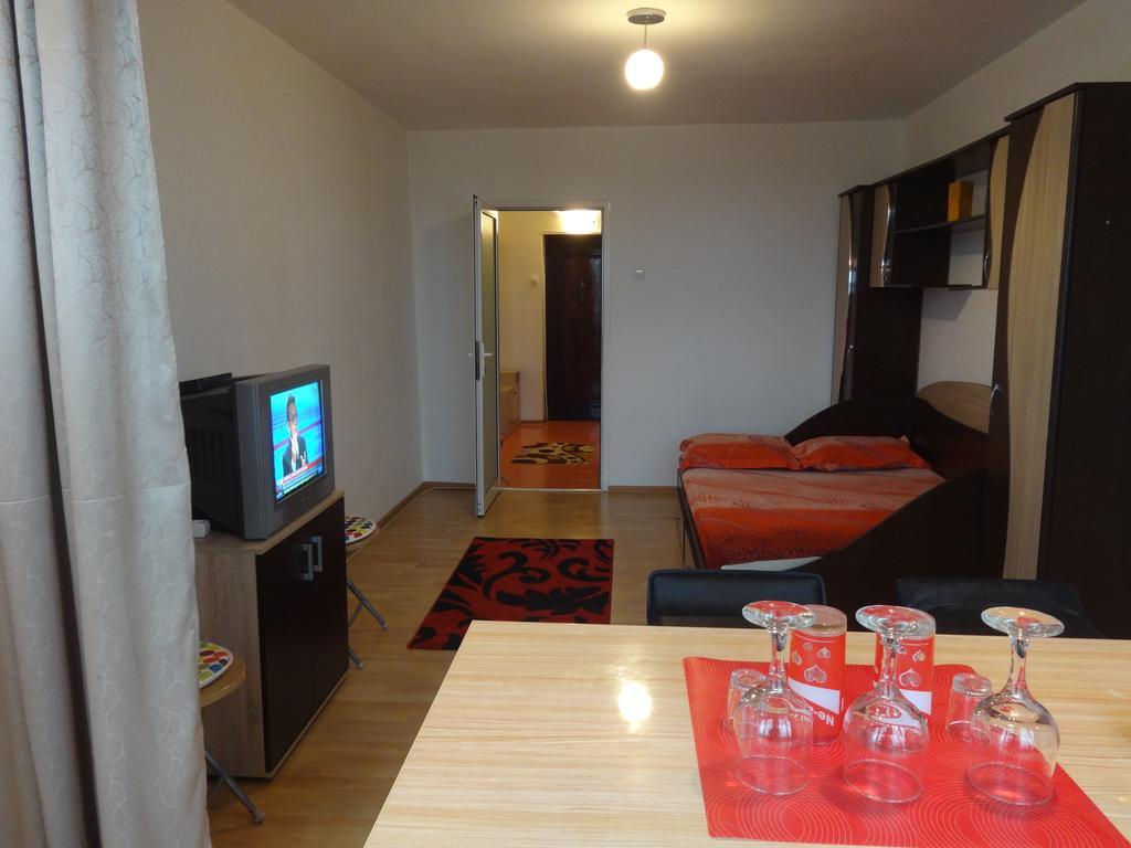 Alina Accommodation Galaţi エクステリア 写真